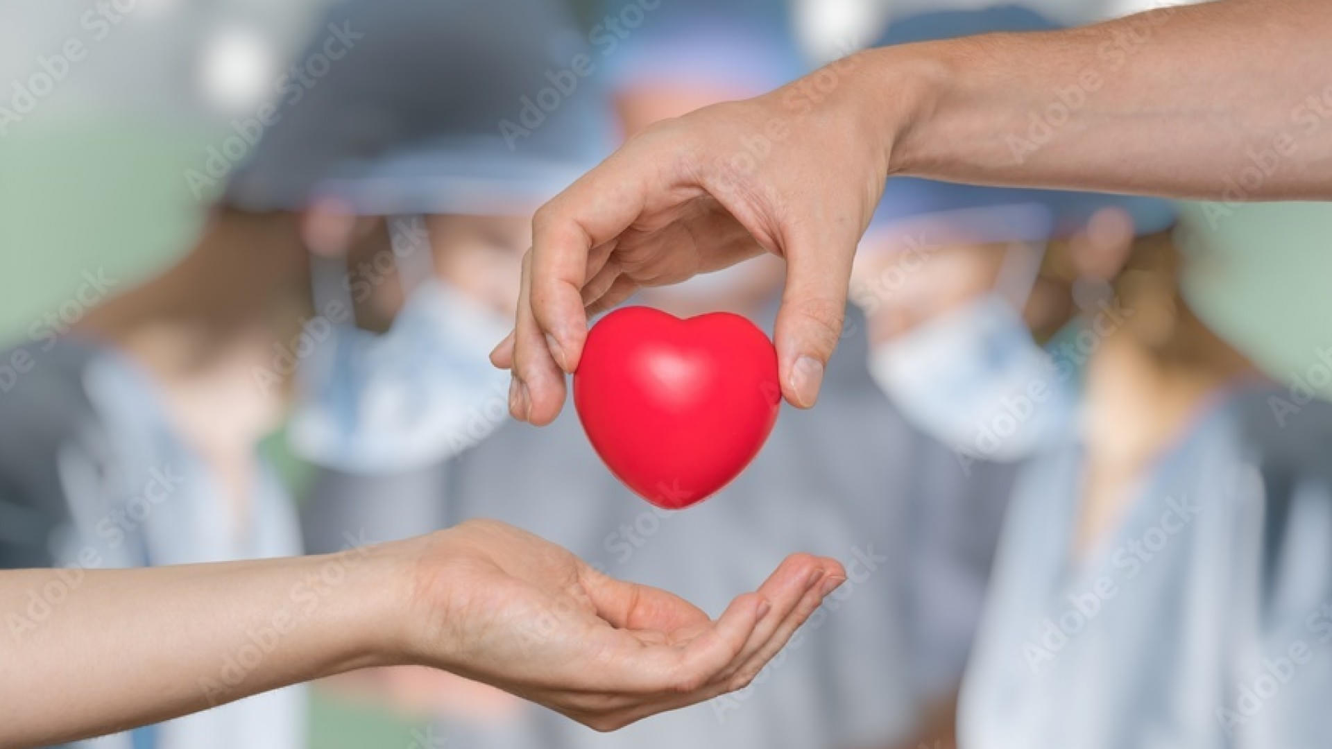AdobeStock_170237839_Preview(4)